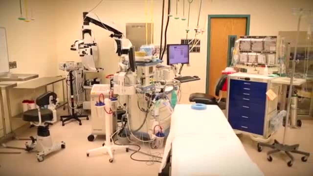See what to expect on the day of your surgery from a kid's perspective.